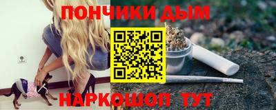 Альфа ПВП Гатчина