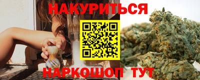 Альфа ПВП Гатчина