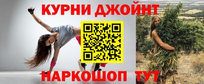 Альфа ПВП Гатчина