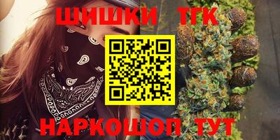 Альфа ПВП Гатчина