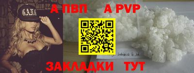 Альфа ПВП Гатчина