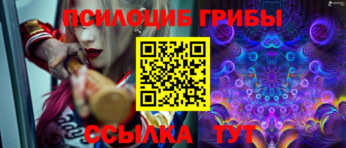 купить наркотики сайты  Псилоцибиновые грибы GOLDEN TEACHER  Вход с VPN  Искитим 