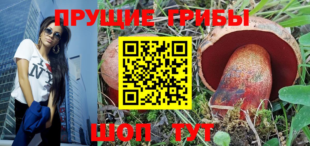 Галлюциногенные грибы Cubensis Искитим